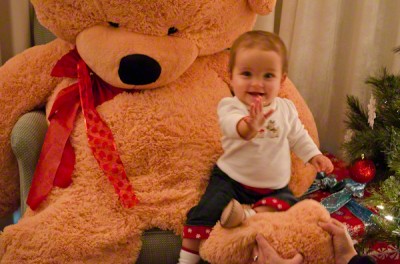 Edgar The Big Bear & All His Teddy Bear Friends Await Your Visit At The Harbor View Hotel Teddy Bear Suite