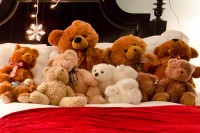 Teddy Bear Suite Martha's Vineyard Holiday Event