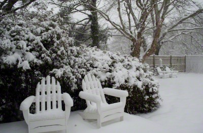 Marthas Vineyard Weather: Snowstorm Hits the Vineyard