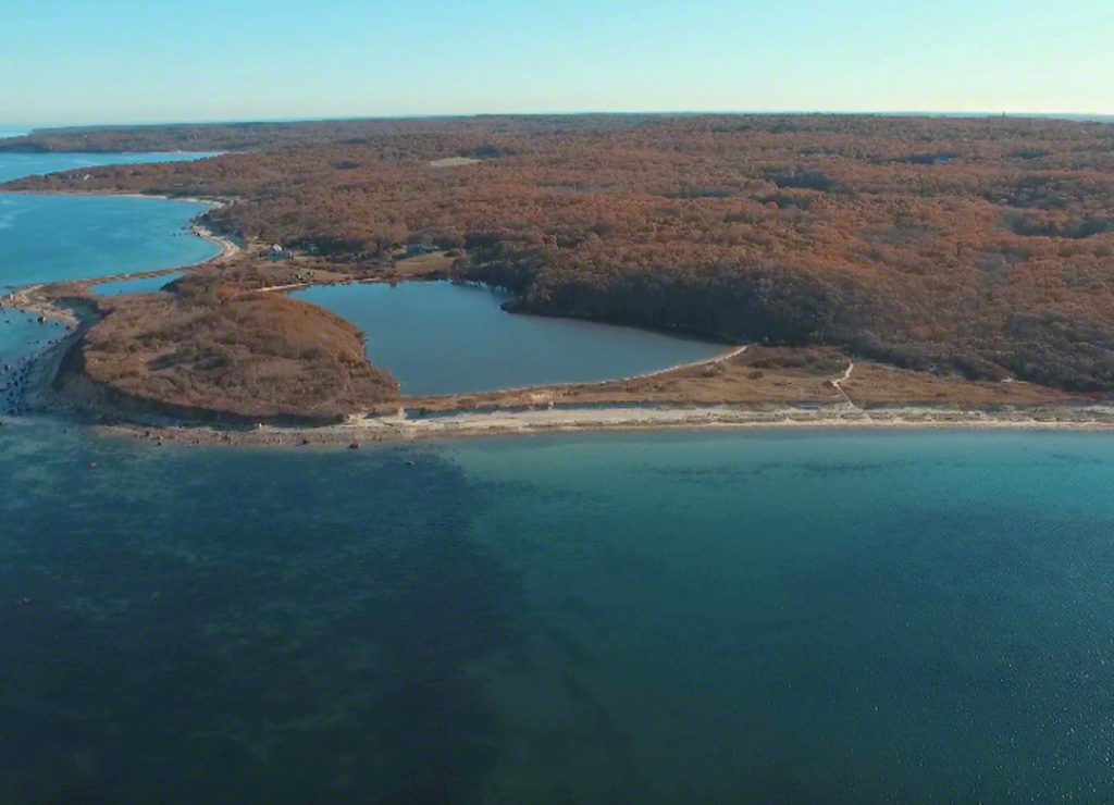 Cedar Tree Neck Sanctuary Martha's Vineyard Conservation Land Walking Hiking