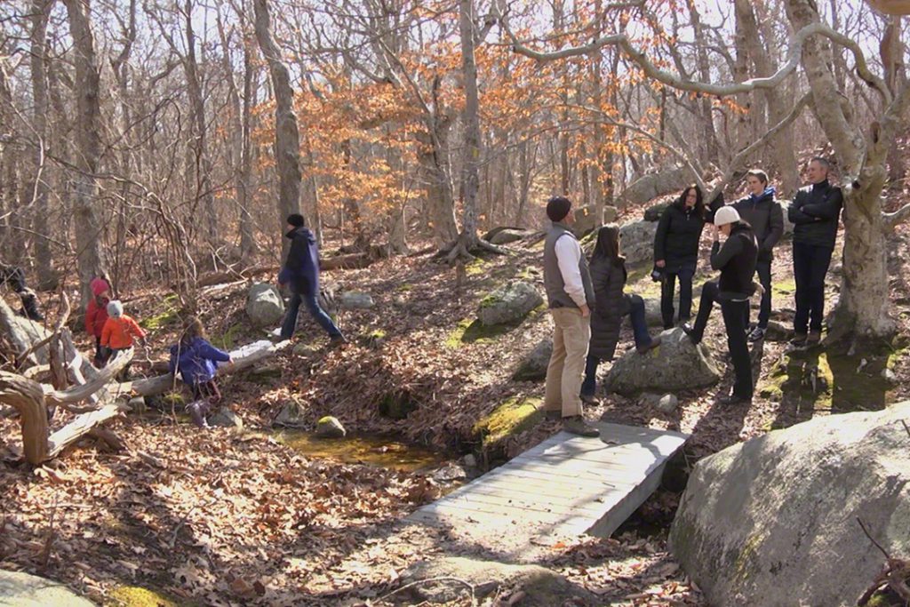 Martha's Vineyard Hiking Walking Top Picks: Cedar Tree Neck Sanctuary VIneyard Sound