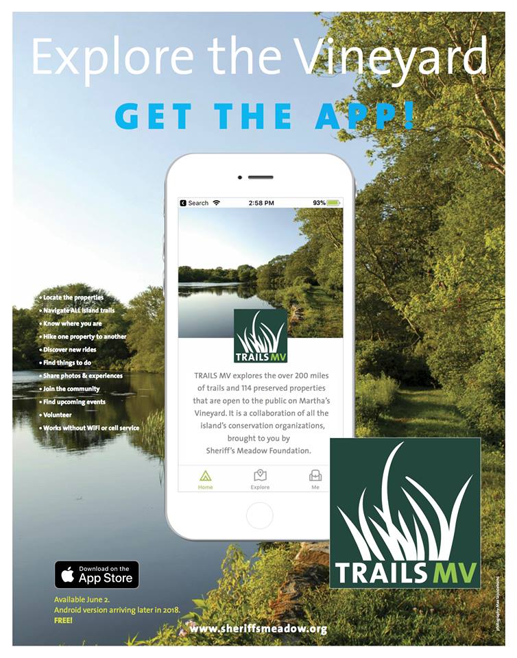 10 Family-Friendly Things To Do On Martha's Vineyard -- Take A Hike With Trails MV App