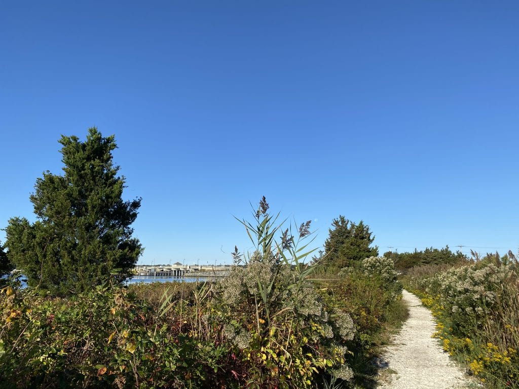 WE LOVE MV: Columbus Day Weekend on Martha’s Vineyard What do to on the Vineyard