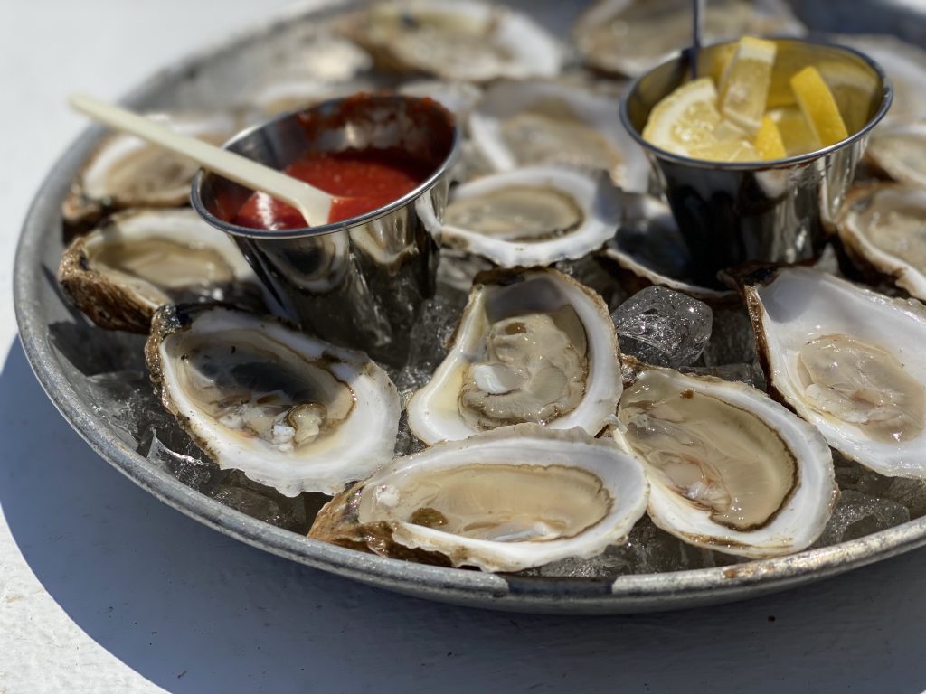 Cottage City Oysters Farm Tours
Cottage City Oysters
Oyster Farms
Martha's Vineyard
Point B Realty
Oak Bluffs
Support Farmers
Eat Local