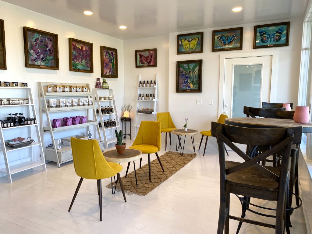 Tansy Tea & Coffee By Juice By the Sea In Vineyard Haven Vegan Cafe
Vineyard Haven Martha's Vineyard
Juice By the Sea