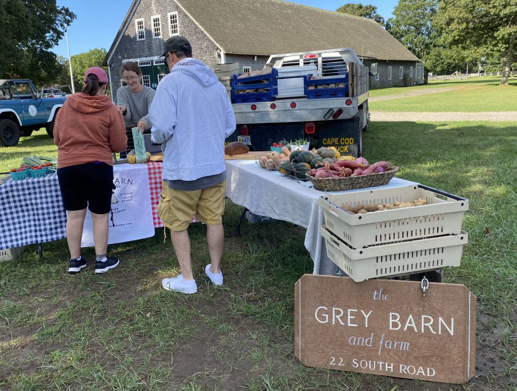 West Tisbury Farmers Market
The Grey Barn
Fall on Martha's Vineyard
Shop local
Eat Local
