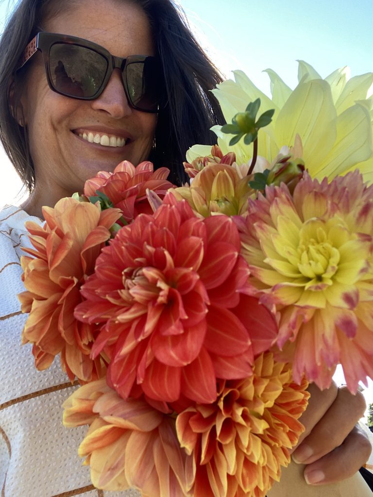 Wednesdays At The Fall West Tisbury Farmer's Market On Martha's Vineyard
Fresh Flowers
Dahlias
Fall on Martha's Vineyard
Shop local
Eat Local