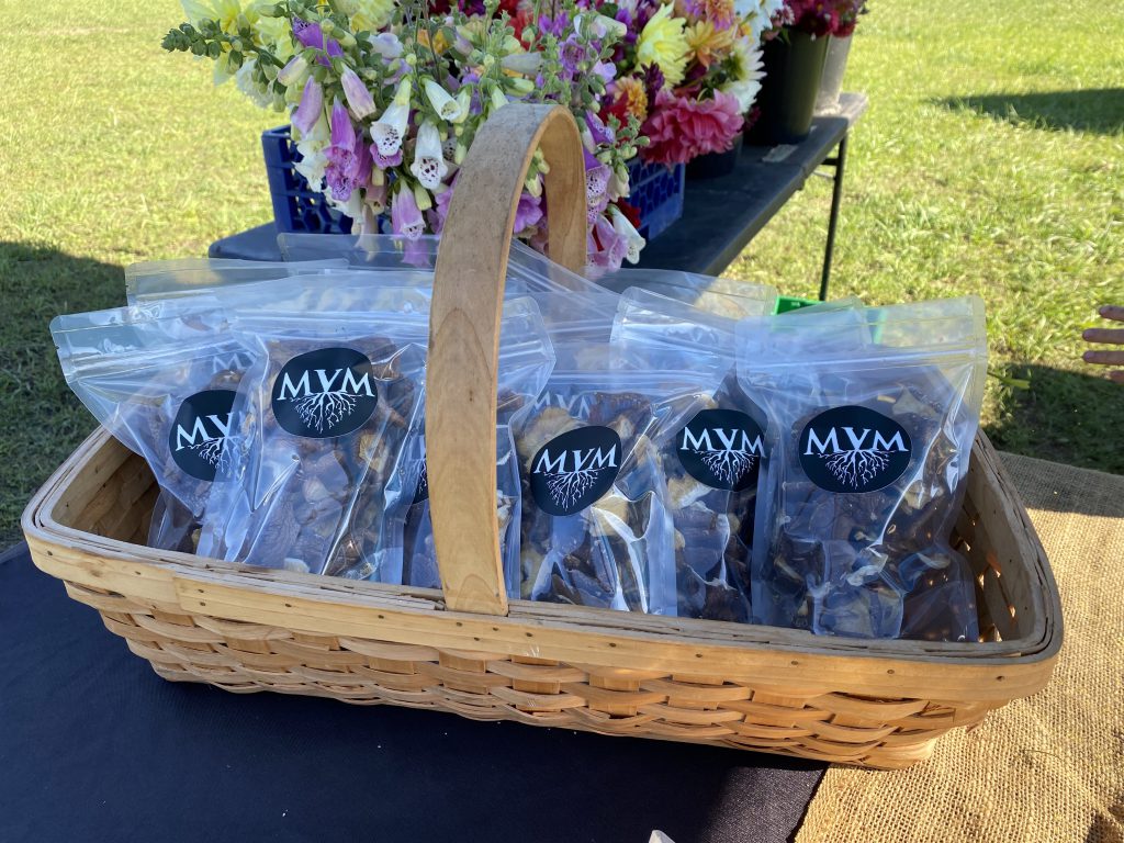 Wednesdays At The Fall West Tisbury Farmer's Market On Martha's Vineyard
MV Mycological
Fall on Martha's Vineyard
Shop local
Eat Local
