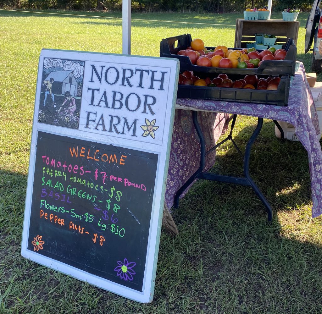 Wednesdays At The Fall West Tisbury Farmer's Market On Martha's Vineyard
North Tabor Farm
Fall on Martha's Vineyard
Shop local
Eat Local