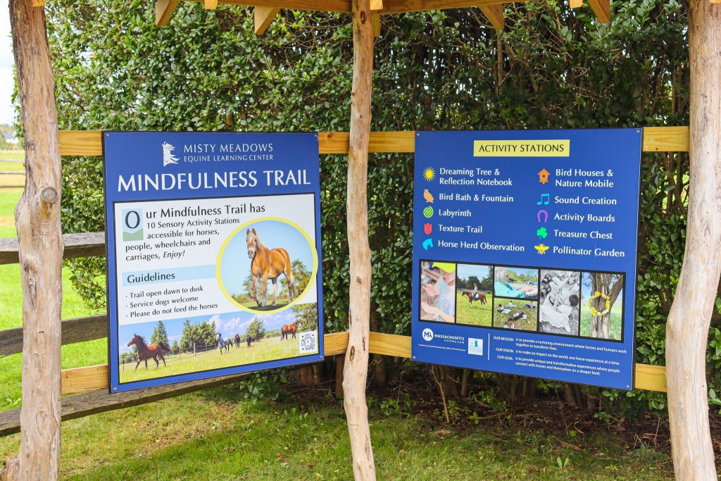 10 Things to Add to Your Bucket List this Off-Season on Martha’s Vineyard Misty Meadows Mindfulness Trail